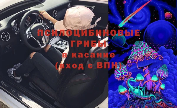 мяу мяу мука Нягань