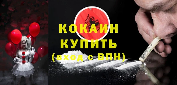 индика Нязепетровск