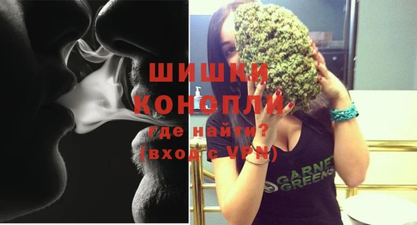 индика Нязепетровск