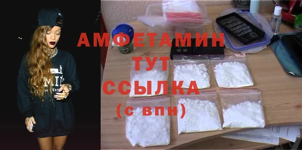индика Нязепетровск