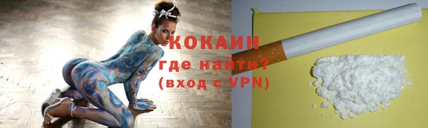 индика Нязепетровск