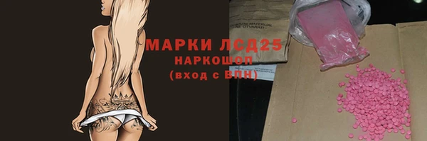 индика Нязепетровск