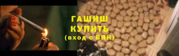 индика Нязепетровск