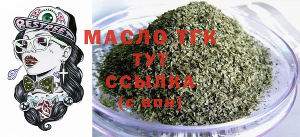 индика Нязепетровск