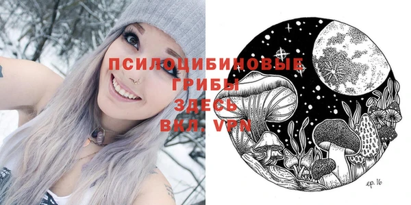 таблы Няндома