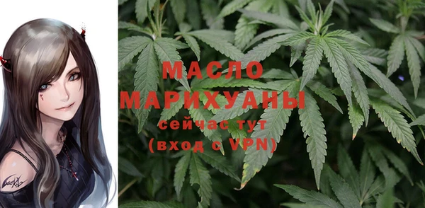 индика Нязепетровск