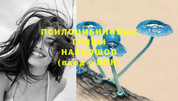 гашиш Болотное