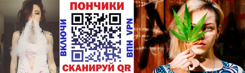 Бошки марихуана сатива  продажа наркотиков  Семёнов 